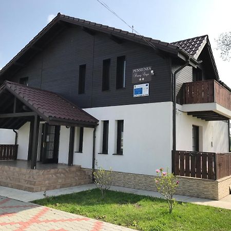 Pensiunea Dany - Crys Zvoristea Esterno foto