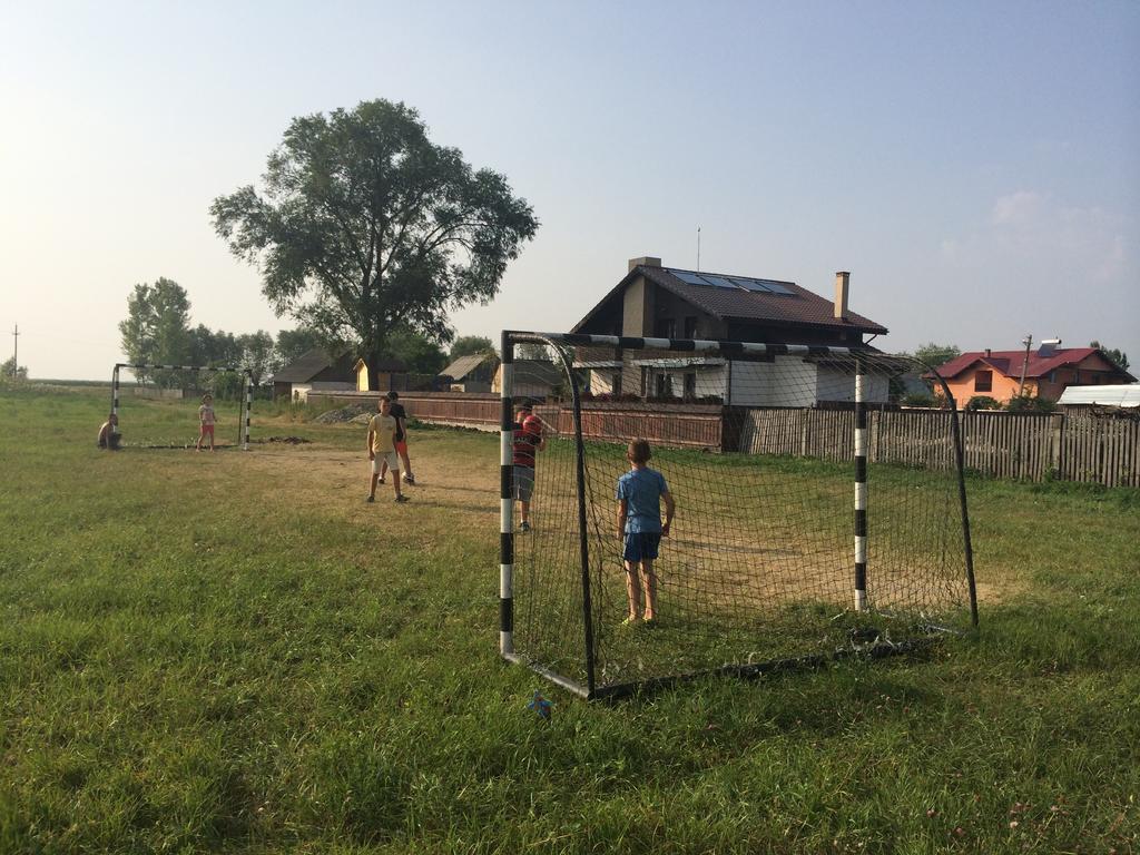 Pensiunea Dany - Crys Zvoristea Esterno foto