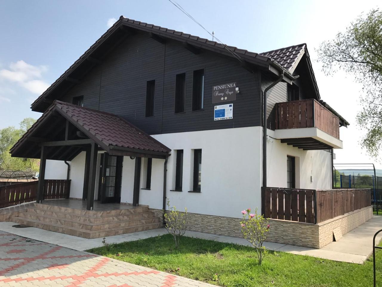 Pensiunea Dany - Crys Zvoristea Esterno foto