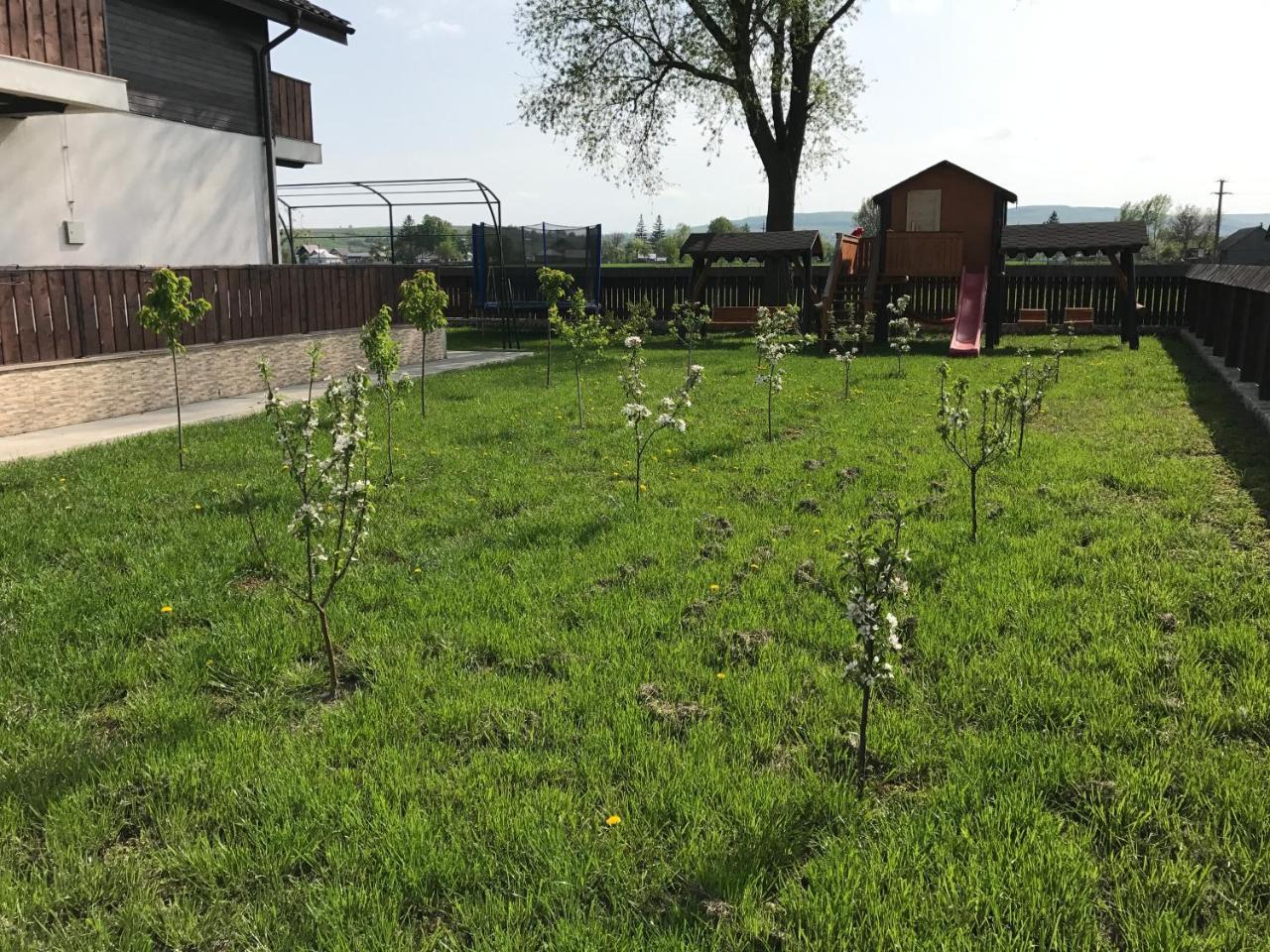 Pensiunea Dany - Crys Zvoristea Esterno foto